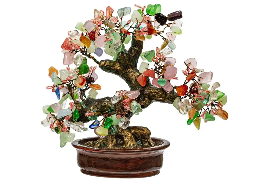 bonsai avis